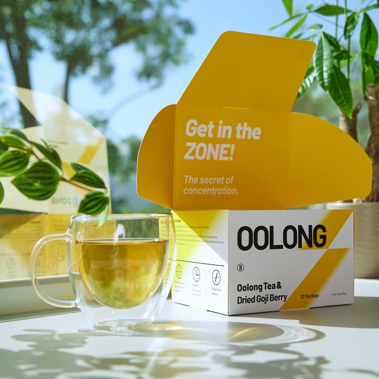 Oolong tea